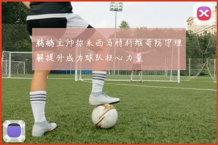 鹈鹕主帅称米西马特科维奇防守理解提升成为球队核心力量