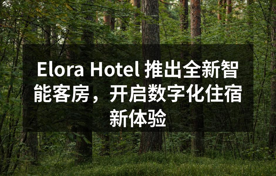 Elora Hotel 推出的智能客房一览